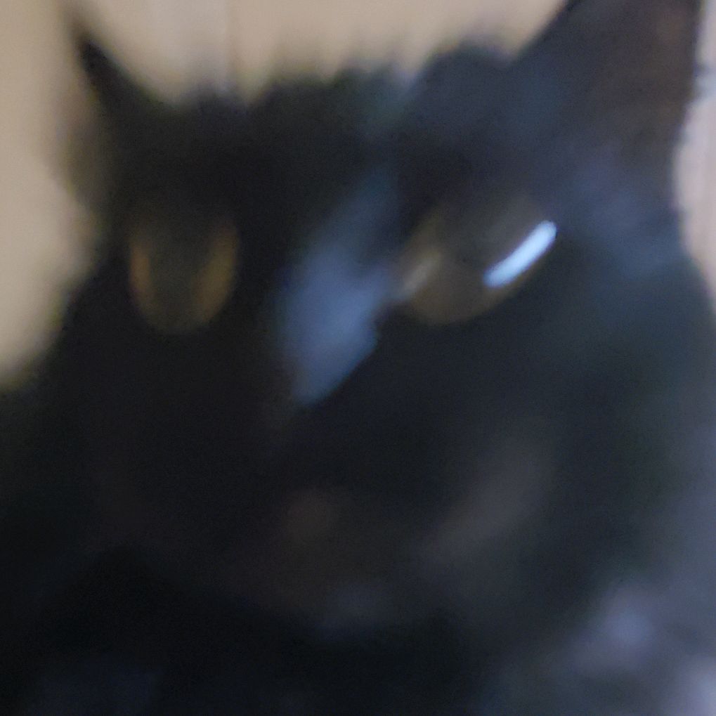 catbirdonastick420 die